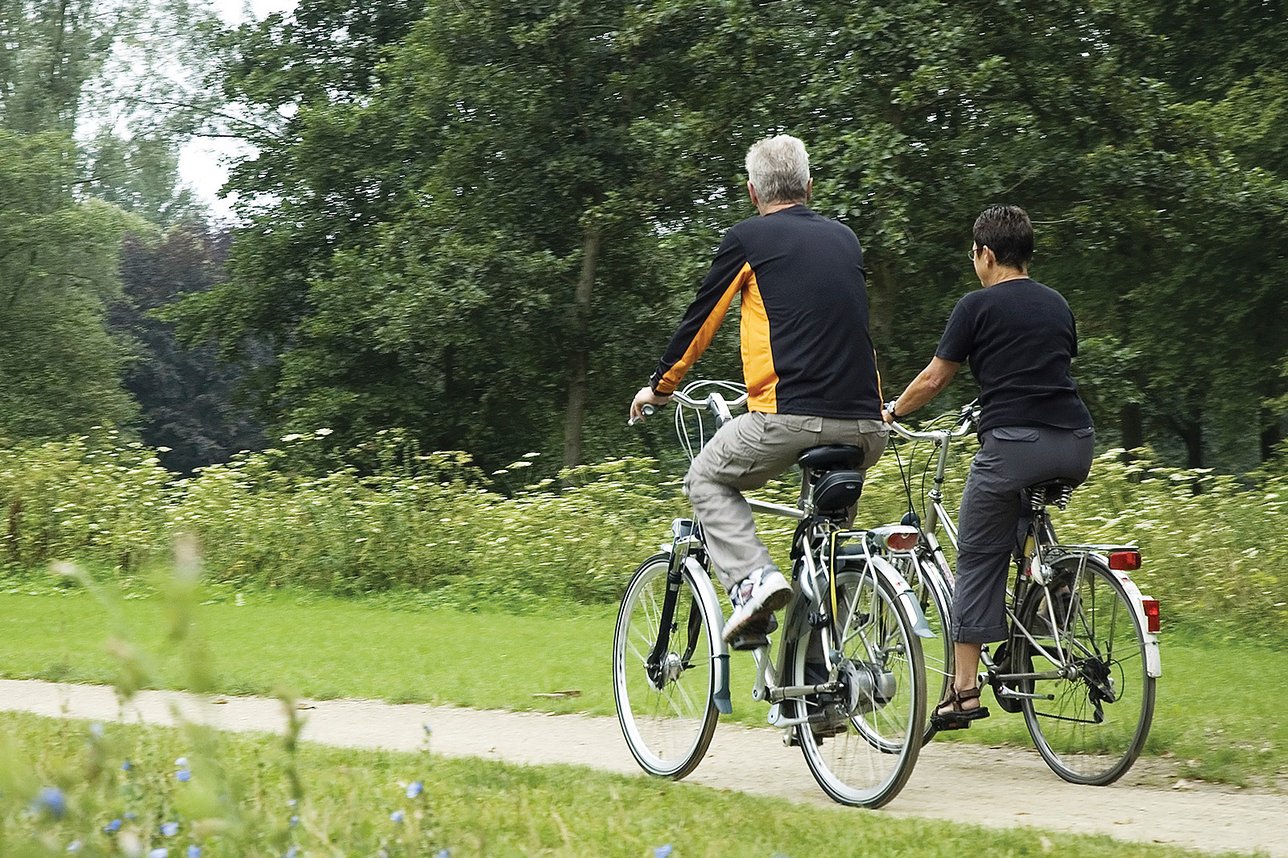 Casal a andar de bicicleta numa floresta