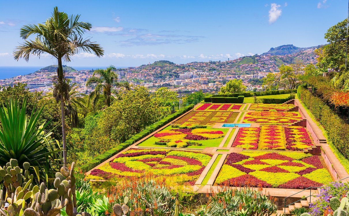 [Translate to Portugal - Portuguese:] Botanic Garden